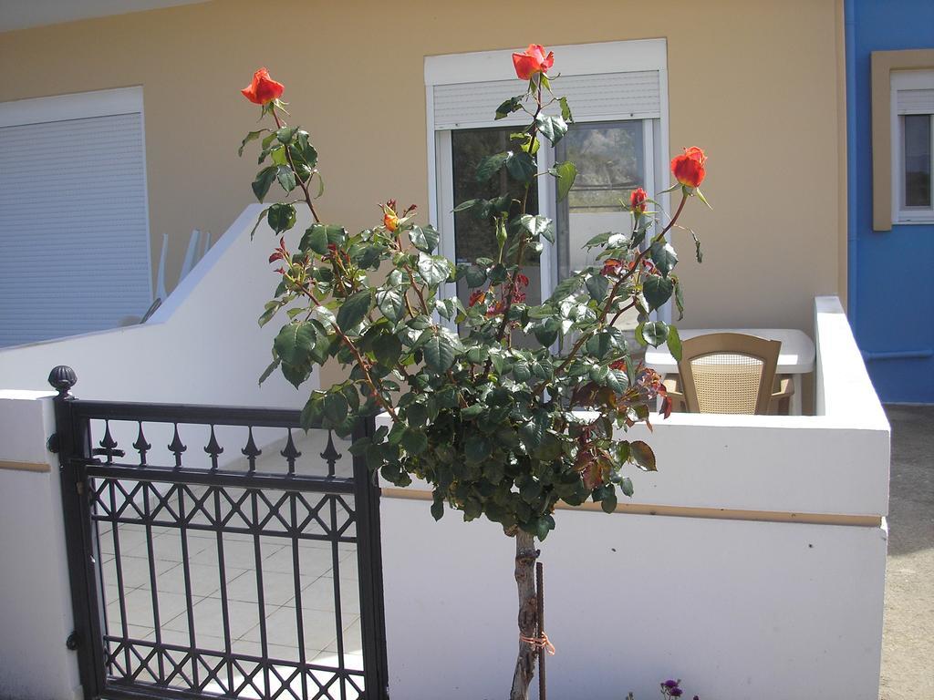 Nephele Apartments Faliraki Eksteriør bilde